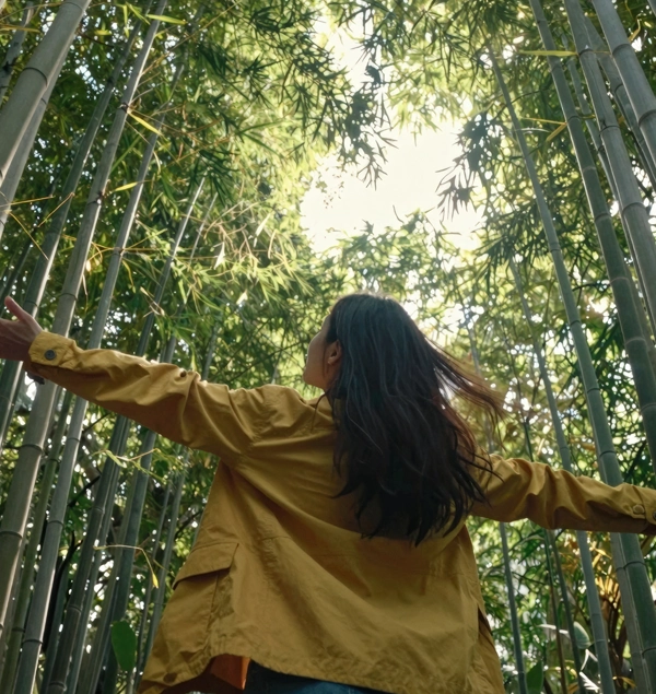 Forest bathing sessions