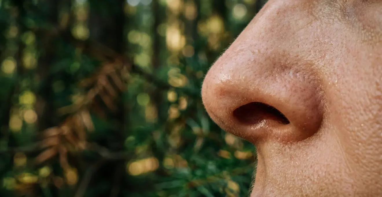 Macro close-up of human nose and nostrils in profile against soft-focus forest background with visible atmospheric particles suggesting airborne phytoncides