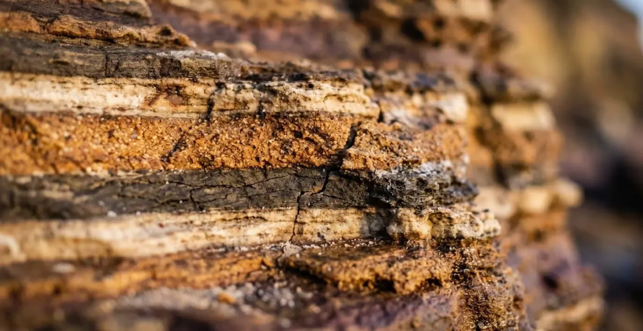 Close-up macro photograph showing detailed sedimentary rock layers with visible erosion patterns and fracture lines