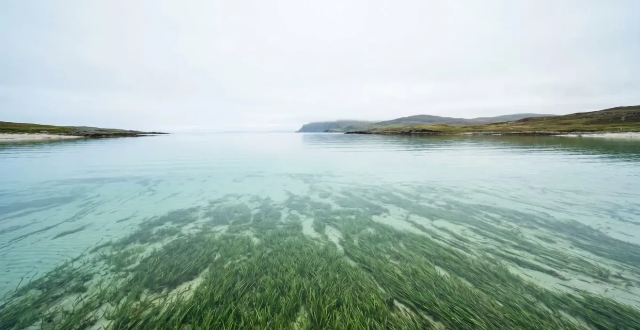Wide environmental shot of pristine natural ecosystem with minimal human footprint