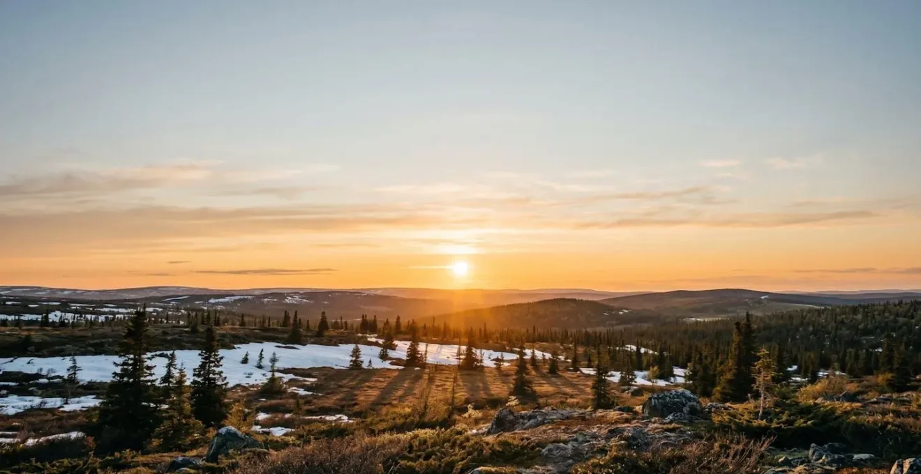 Arctic wilderness landscape bathed in golden midnight sun with perpetual twilight glow over snow and forest